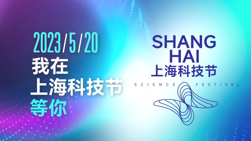 功能对比表：批发采购中的关键考量因素**